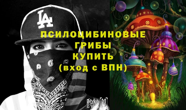 амф Алексин