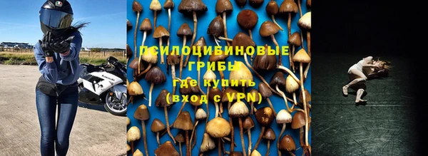 ПСИЛОЦИБИНОВЫЕ ГРИБЫ Алексеевка
