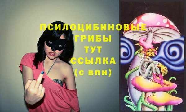 ПСИЛОЦИБИНОВЫЕ ГРИБЫ Алексеевка