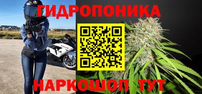 гидропоника Ипатово