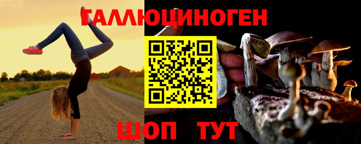 Галлюциногенные грибы мухоморы  Вход с VPN  Люберцы  Галлюциногенные грибы прущие грибы 